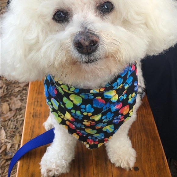 Meet your Posher, Annie - Picture 8 of 15